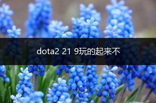 dota2 21 9玩的起来不