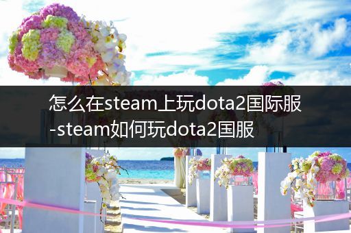 怎么在steam上玩dota2国际服-steam如何玩dota2国服