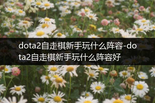 dota2自走棋新手玩什么阵容-dota2自走棋新手玩什么阵容好