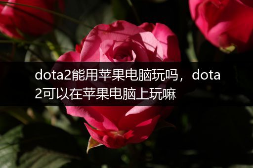 dota2能用苹果电脑玩吗，dota2可以在苹果电脑上玩嘛