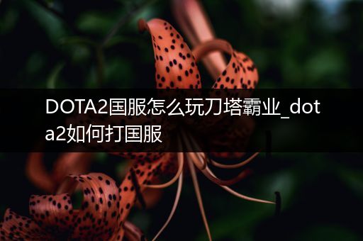 DOTA2国服怎么玩刀塔霸业_dota2如何打国服