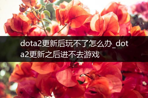 dota2更新后玩不了怎么办_dota2更新之后进不去游戏