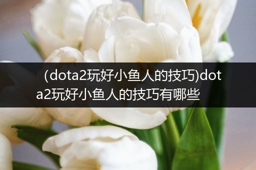 （dota2玩好小鱼人的技巧)dota2玩好小鱼人的技巧有哪些