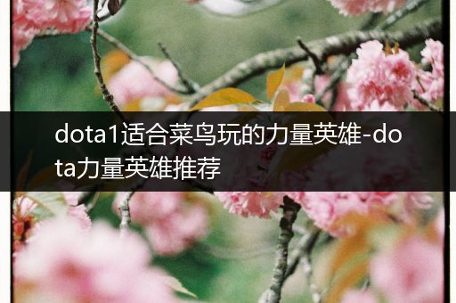 dota1适合菜鸟玩的力量英雄-dota力量英雄推荐