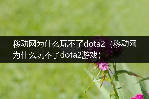 移动网为什么玩不了dota2（移动网为什么玩不了dota2游戏）