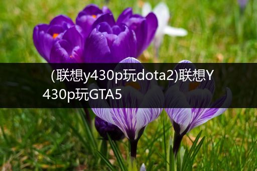 （联想y430p玩dota2)联想Y430p玩GTA5