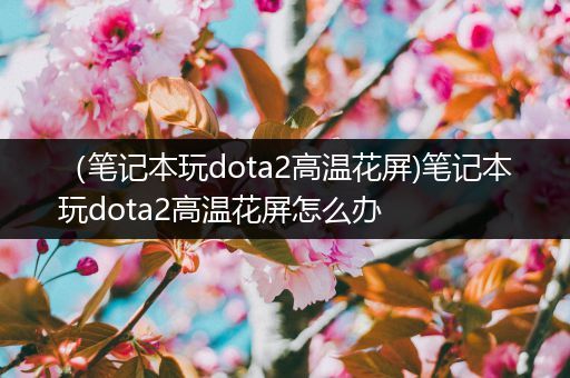 （笔记本玩dota2高温花屏)笔记本玩dota2高温花屏怎么办