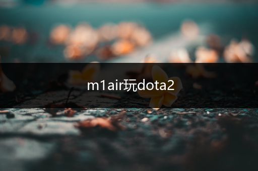 m1air玩dota2