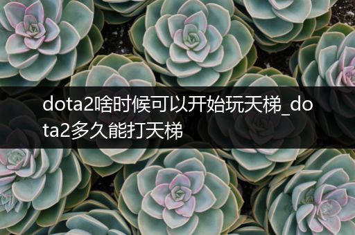 dota2啥时候可以开始玩天梯_dota2多久能打天梯