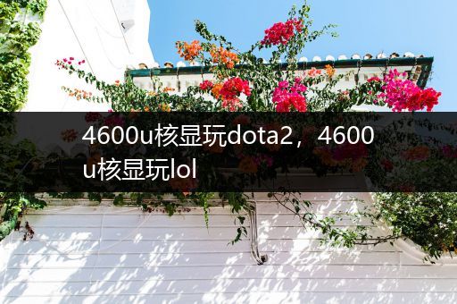 4600u核显玩dota2，4600u核显玩lol