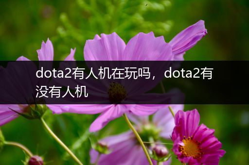 dota2有人机在玩吗，dota2有没有人机