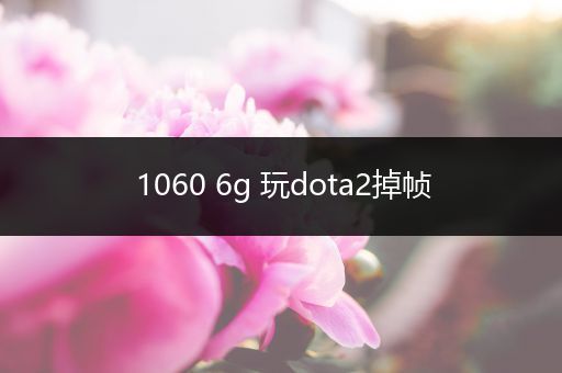 1060 6g 玩dota2掉帧