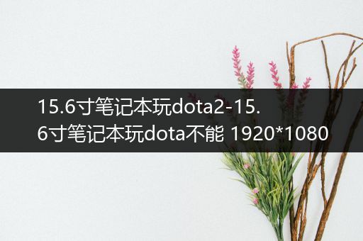 15.6寸笔记本玩dota2-15.6寸笔记本玩dota不能 1920*1080