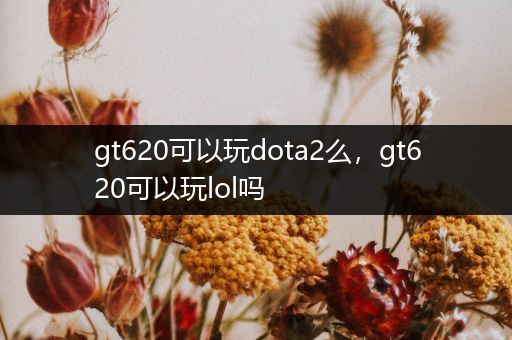 gt620可以玩dota2么，gt620可以玩lol吗