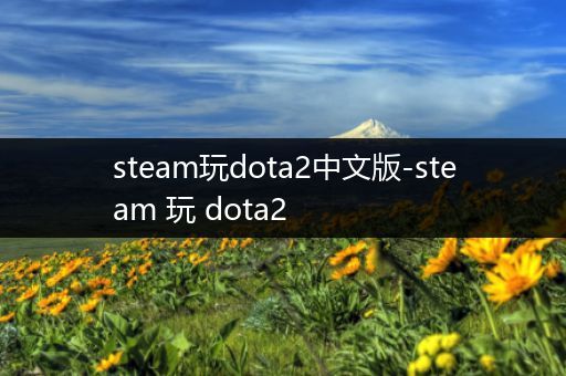 steam玩dota2中文版-steam 玩 dota2