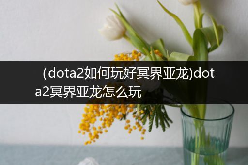 （dota2如何玩好冥界亚龙)dota2冥界亚龙怎么玩