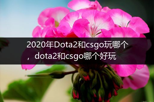 2020年Dota2和csgo玩哪个，dota2和csgo哪个好玩