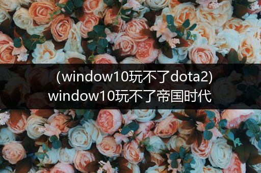 （window10玩不了dota2)window10玩不了帝国时代