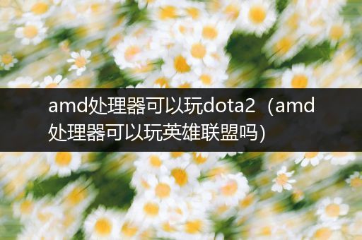 amd处理器可以玩dota2（amd处理器可以玩英雄联盟吗）