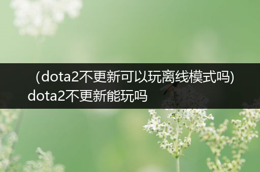 （dota2不更新可以玩离线模式吗)dota2不更新能玩吗