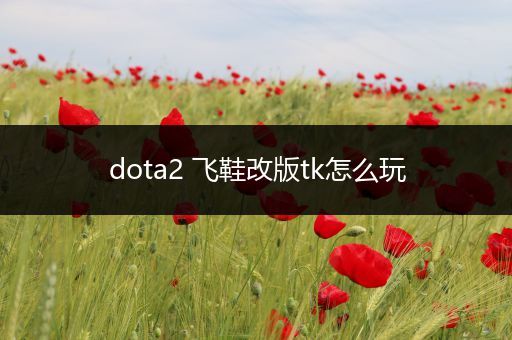 dota2 飞鞋改版tk怎么玩