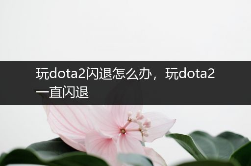 玩dota2闪退怎么办，玩dota2一直闪退
