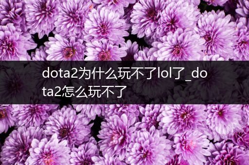 dota2为什么玩不了lol了_dota2怎么玩不了