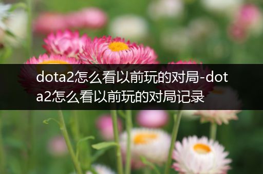 dota2怎么看以前玩的对局-dota2怎么看以前玩的对局记录