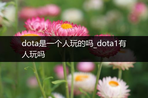 dota是一个人玩的吗_dota1有人玩吗