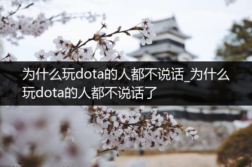 为什么玩dota的人都不说话_为什么玩dota的人都不说话了