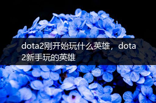 dota2刚开始玩什么英雄，dota2新手玩的英雄