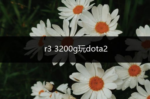 r3 3200g玩dota2