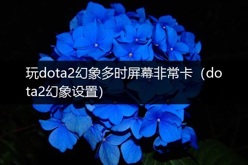 玩dota2幻象多时屏幕非常卡（dota2幻象设置）