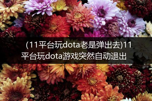 （11平台玩dota老是弹出去)11平台玩dota游戏突然自动退出