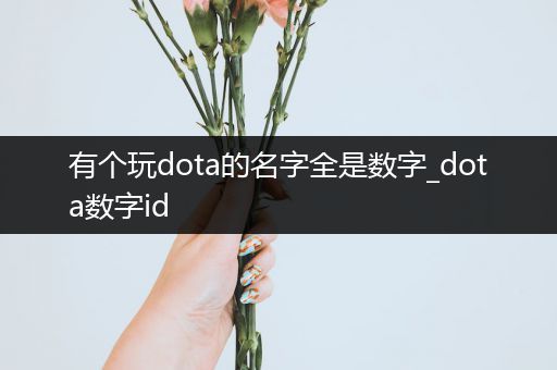 有个玩dota的名字全是数字_dota数字id