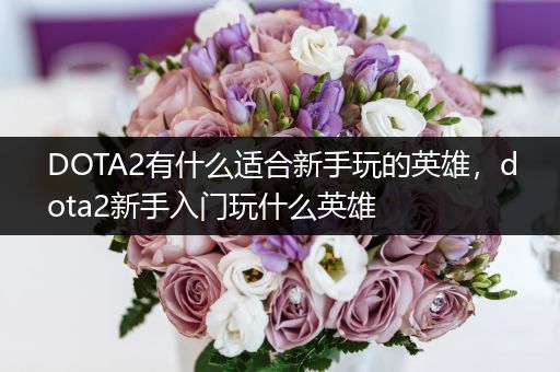 DOTA2有什么适合新手玩的英雄，dota2新手入门玩什么英雄