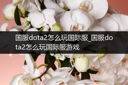 国服dota2怎么玩国际服_国服dota2怎么玩国际服游戏