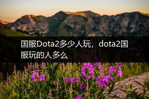 国服Dota2多少人玩，dota2国服玩的人多么