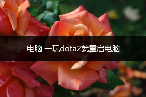 电脑 一玩dota2就重启电脑