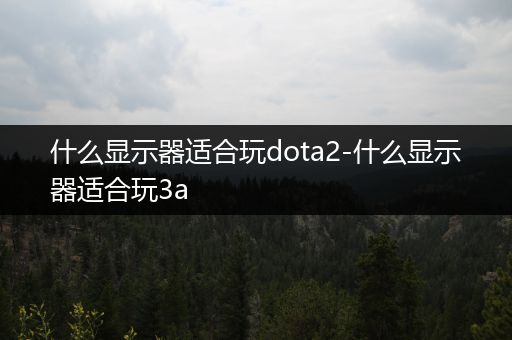 什么显示器适合玩dota2-什么显示器适合玩3a