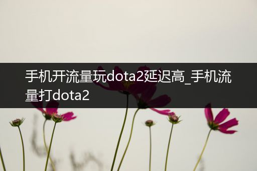手机开流量玩dota2延迟高_手机流量打dota2