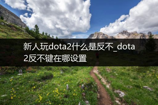 新人玩dota2什么是反不_dota2反不键在哪设置