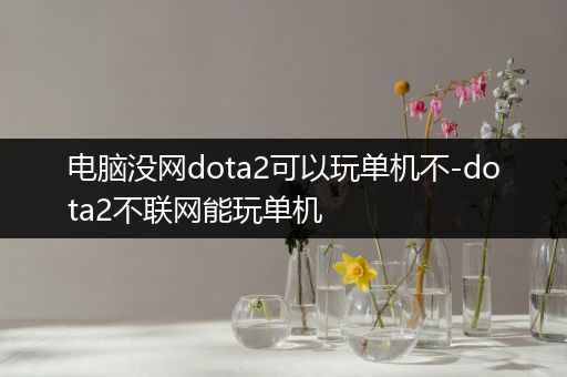 电脑没网dota2可以玩单机不-dota2不联网能玩单机