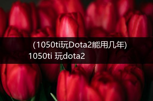 （1050ti玩Dota2能用几年)1050ti 玩dota2