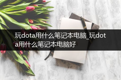 玩dota用什么笔记本电脑_玩dota用什么笔记本电脑好