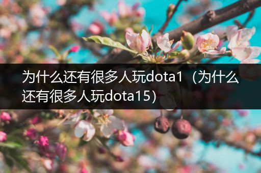 为什么还有很多人玩dota1（为什么还有很多人玩dota15）