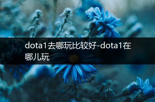 dota1去哪玩比较好-dota1在哪儿玩