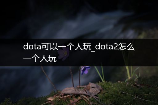 dota可以一个人玩_dota2怎么一个人玩