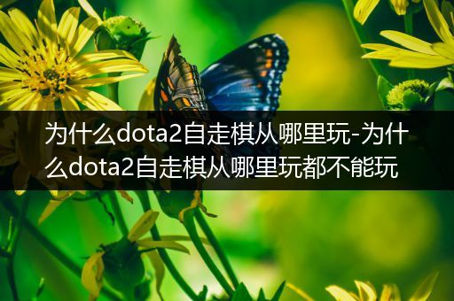 为什么dota2自走棋从哪里玩-为什么dota2自走棋从哪里玩都不能玩