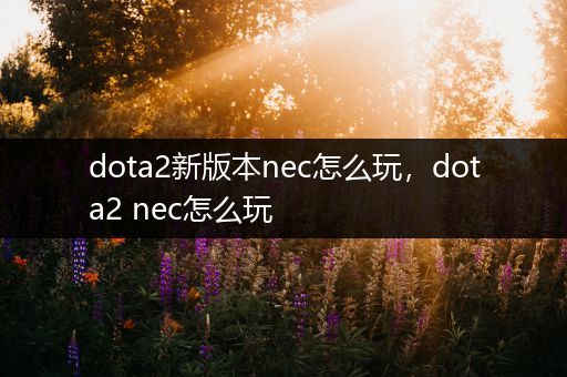dota2新版本nec怎么玩，dota2 nec怎么玩